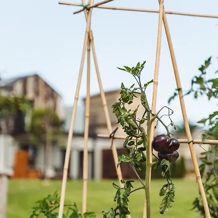 La Isla De Prospero * Tapia De Casariego